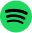 Spotify icon